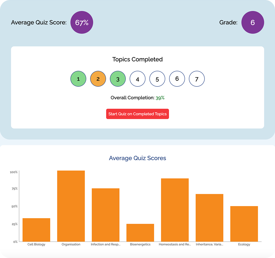 Preview Dashboard 11